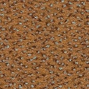 Ковролин Balsan Zenith Roll 635  | FLOORDEALER
